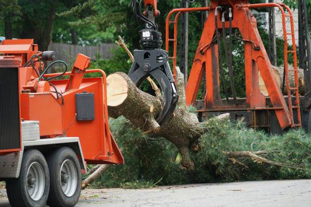 Best Lawn Mowing  in Lake City, GA
